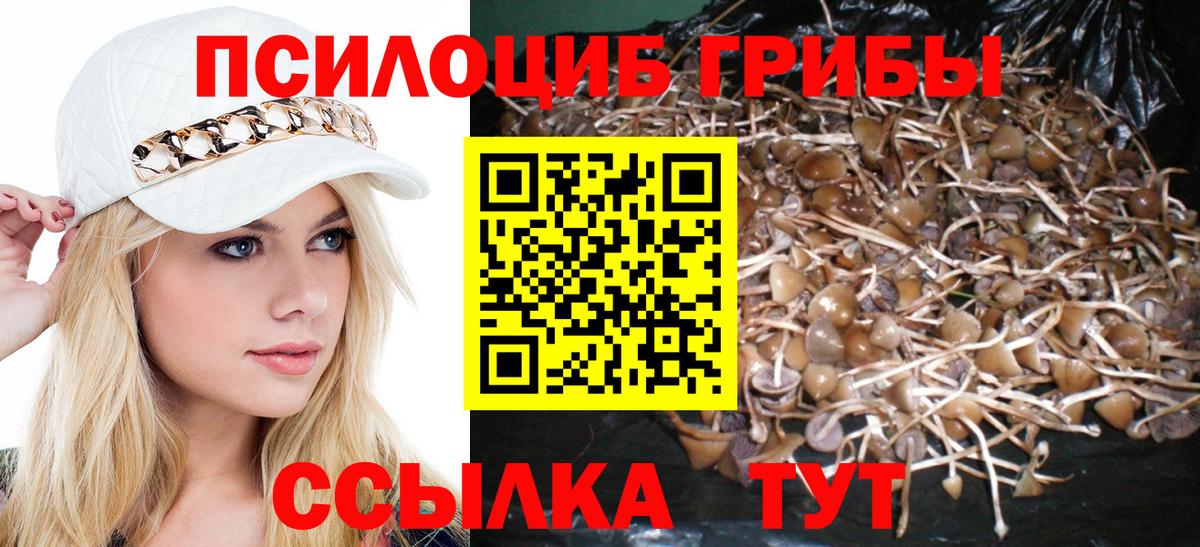 Псилоцибиновые грибы Magic Shrooms  Сатка  купить наркоту  Псилоцибиновые грибы Cubensis 