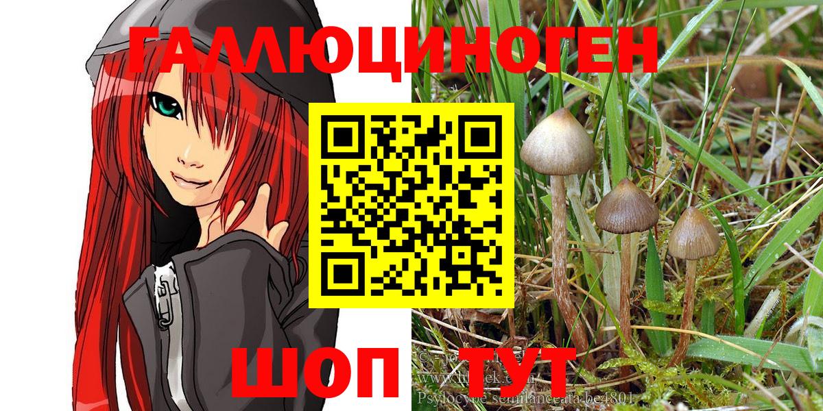 Псилоцибиновые грибы Magic Shrooms Сатка