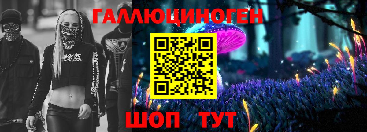 Сатка  Псилоцибиновые грибы Cubensis  Вход с VPN 