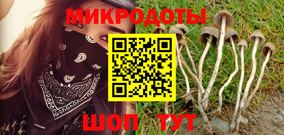 Галлюциногенные грибы мухоморы Сатка
